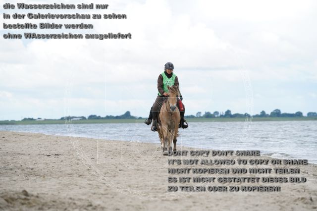 s_K3F05002.JPG
